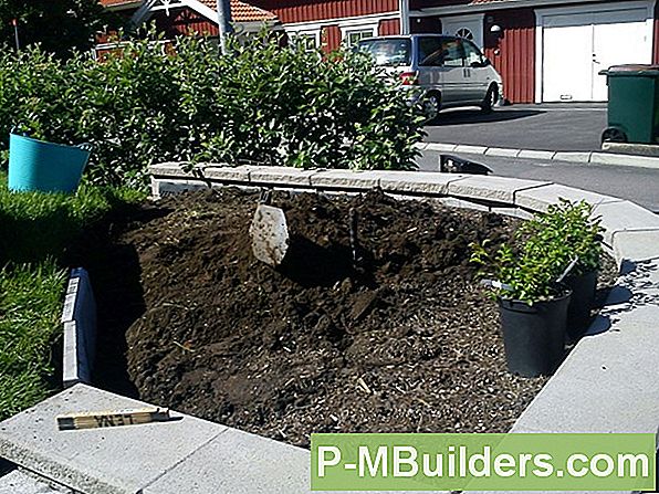 Hösten Plantering: Träd Och Buskar