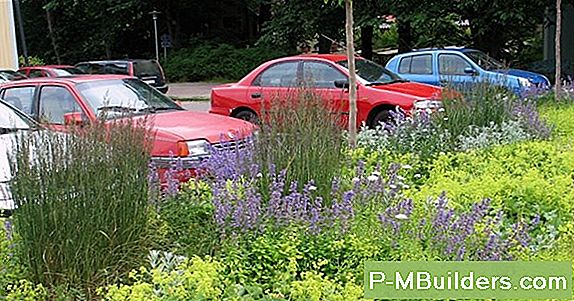 Bra Landskapsdesign Och Korrekt Placering Av TrÀd