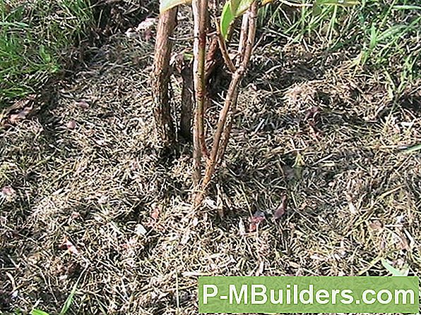 Mulching 2 - Material