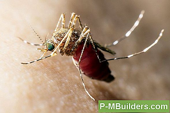 West Nile Virus - Symptom