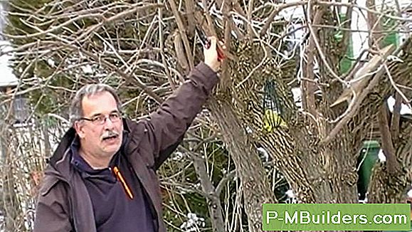 Wie Schneide Ich Mosaikglasfliesen?