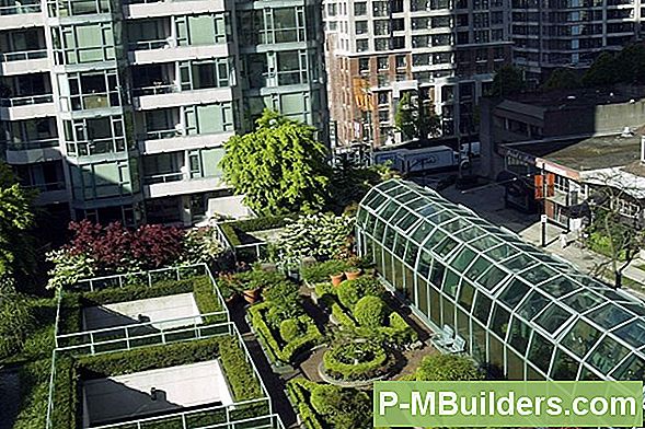 Groene daken: Gardens in the Sky
