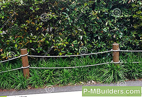 No Dig Gardens
