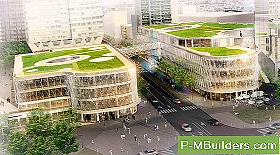 Vert Toitures: jardins dans le ciel