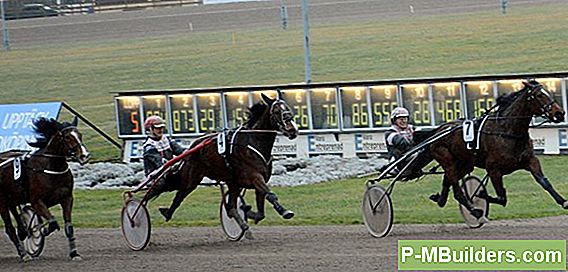 December Dim Star: Håller På Väggen
