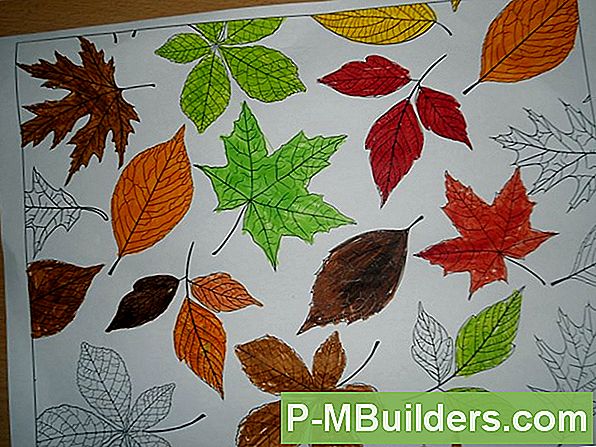 5 Manieren Om Herfstbladeren Te Recyclen