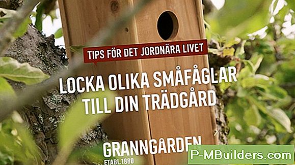 Att Locka Djur Till Din BehÄllare