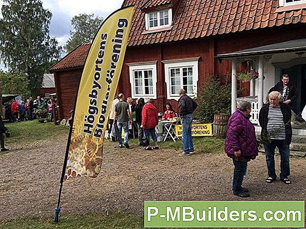 Biodling I Din Backyard
