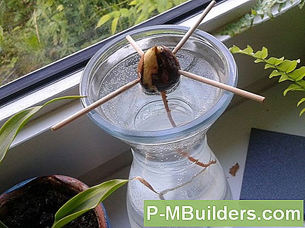 Een Moestuin Planten Met Groenteschroot