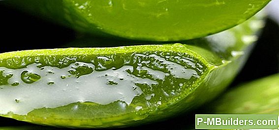 Moskitos Natürlich Mit Diesen 6 Pflanzen Abweisen