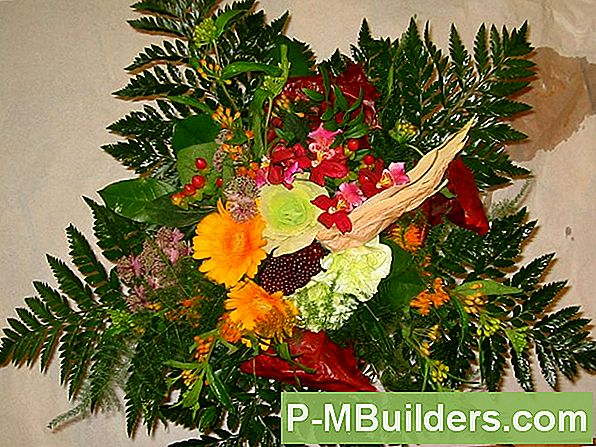 Høst blomster: 8 cool weather stunners ð§ð§ tips for hjem forbedring ... Høstblomster