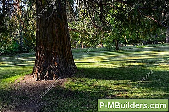 Använd Redwood För Hållbara Förbättringar Av Hemmet