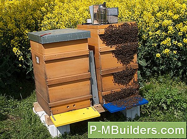 Tötet Bienen Mit Sevin Dust