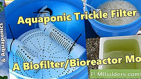 Aquaponics Biofilter Toimii