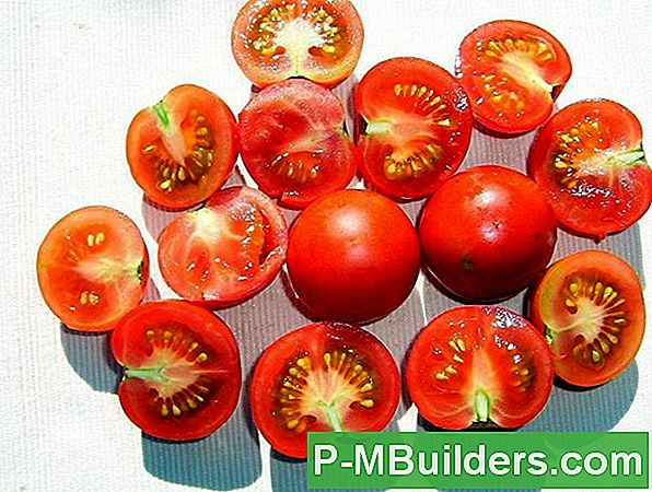 Saftige, Rote Und Hässliche Tomaten