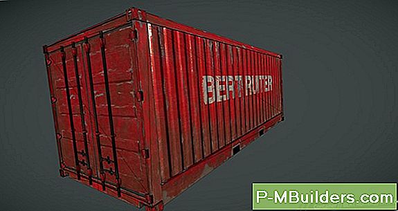 Container Groeiende A Fuchsia