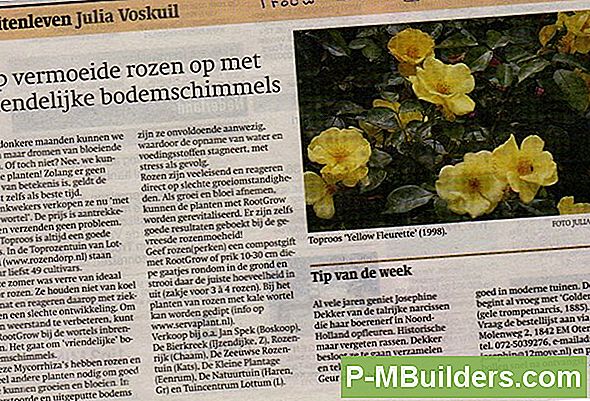 Humus Bodem En Plantengroei Op Lange Termijn