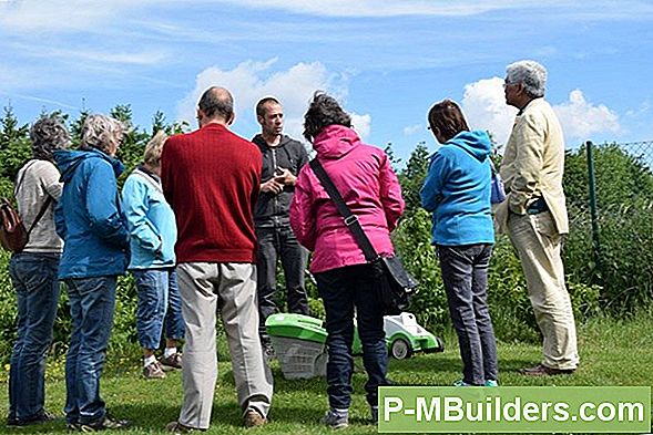 Fouten Te Vermijden Bij Het Verbouwen Van Een Magnolia