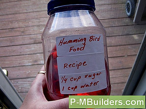 Hummingbird Food Solution