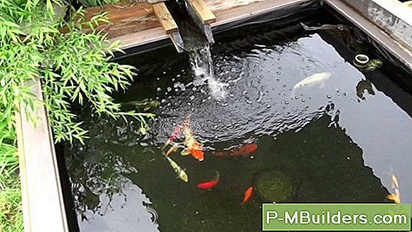 Indoor Teich Design 3 Entscheidungen Zu Machen 🔧 Tipps Für Heimwerker