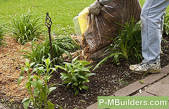 Mit Pine Mulch: Rinde, Stroh Und Nadel