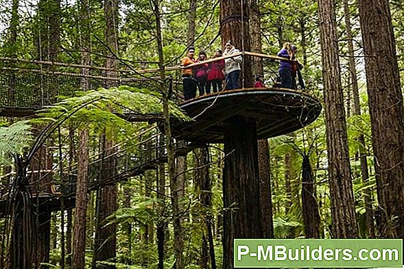 Redwood Tekistusvärvimine: Brilliance'I Väljavõtmine