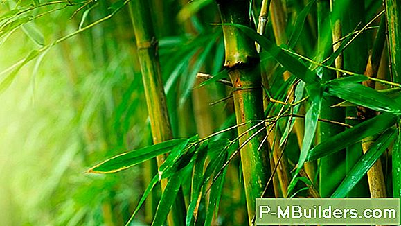 Bamboo Tuul Chimes