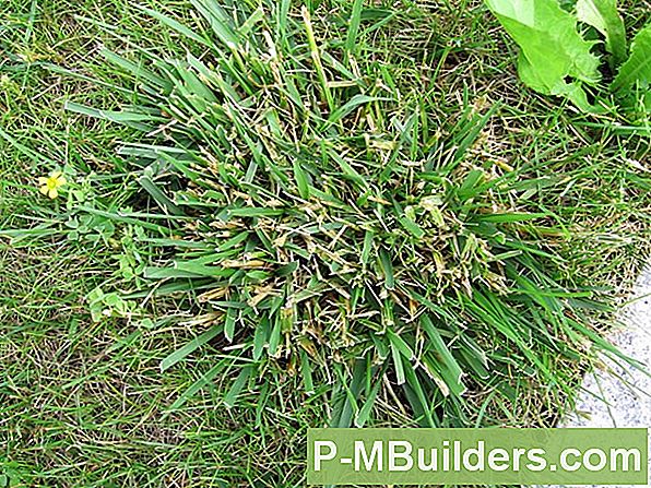 Wie Man Ein Flaches Garagendach Baut 🔧 Tipps Für Heimwerker. Machen Sie