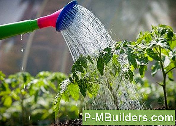 Urlaub Plant Watering Solutions