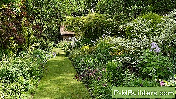 Hoe Een Tuin Potager Te Planten