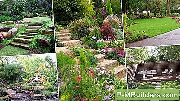 Beautify Your Backyard Landscape På Et Budsjett